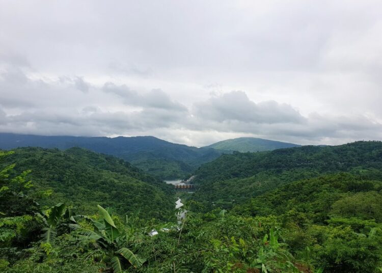 XRP: Paano ang espekulasyon ng IPO ng Ripple ay nagpapalitaw ng aktibidad ng balyena sa kadena