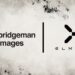 Bridgeman Images at ElmonX Forge Exclusive Partnership to Pioneer High-Quality NFT Art